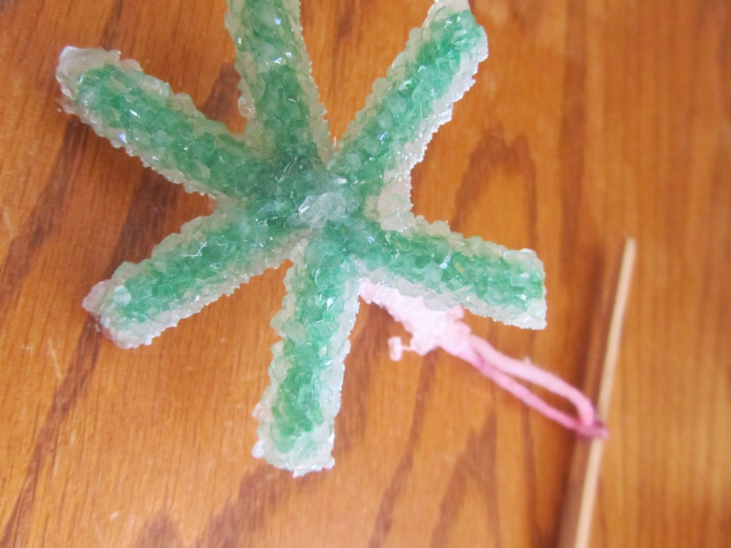 Grow Your Own Crystals